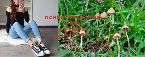 стафф Рославль