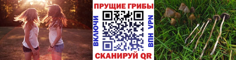 Галлюциногенные грибы прущие грибы  как найти наркотики  Петушки 